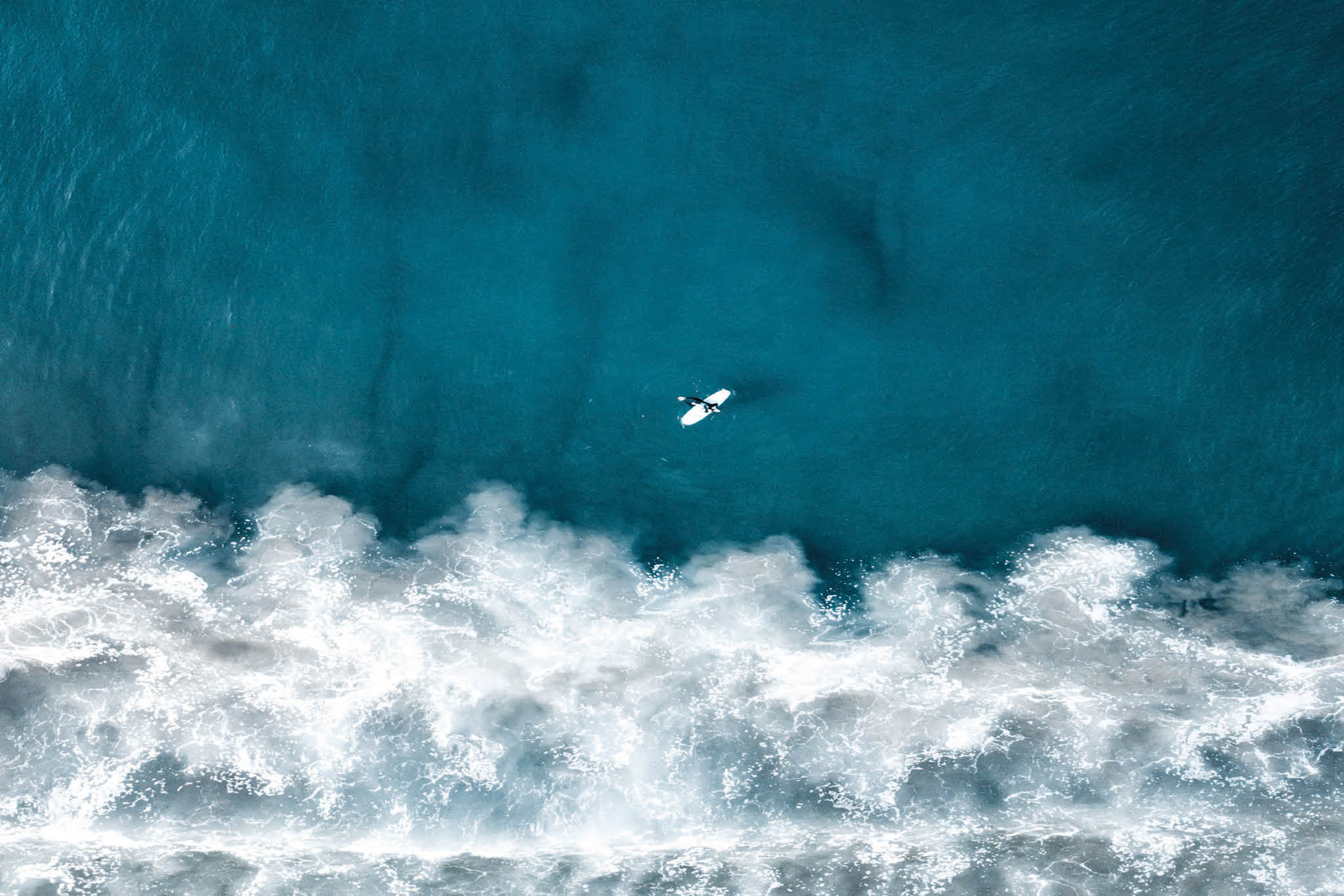 Sobha Seahaven Apartments for sale