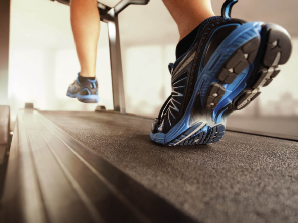 Sobha Seahaven Apartments for sale